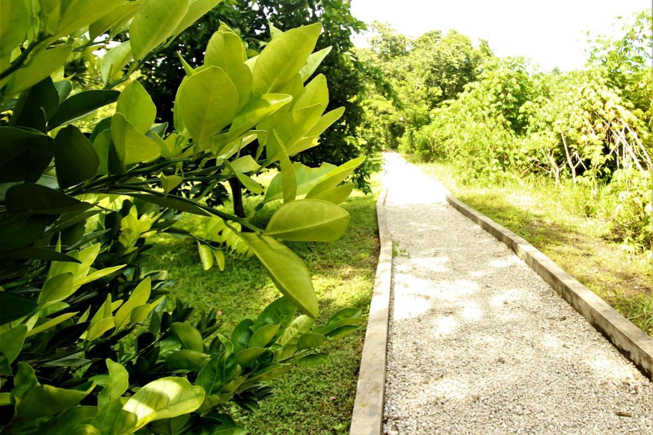 Cabanas Kin Balam Palenque Hotel Exterior photo