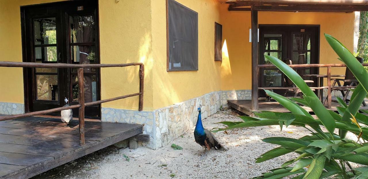 Cabanas Kin Balam Palenque Hotel Exterior photo