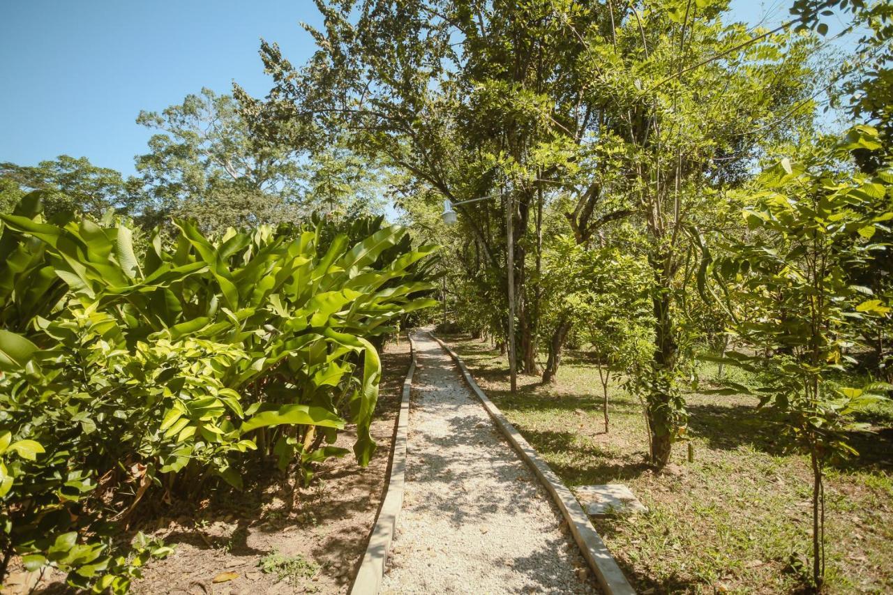 Cabanas Kin Balam Palenque Hotel Exterior photo